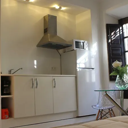 Casco Historico Apt. Dona Concha 론다